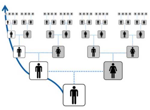 Diagram showing the inheritance of Y-DNA down the direct paternal line